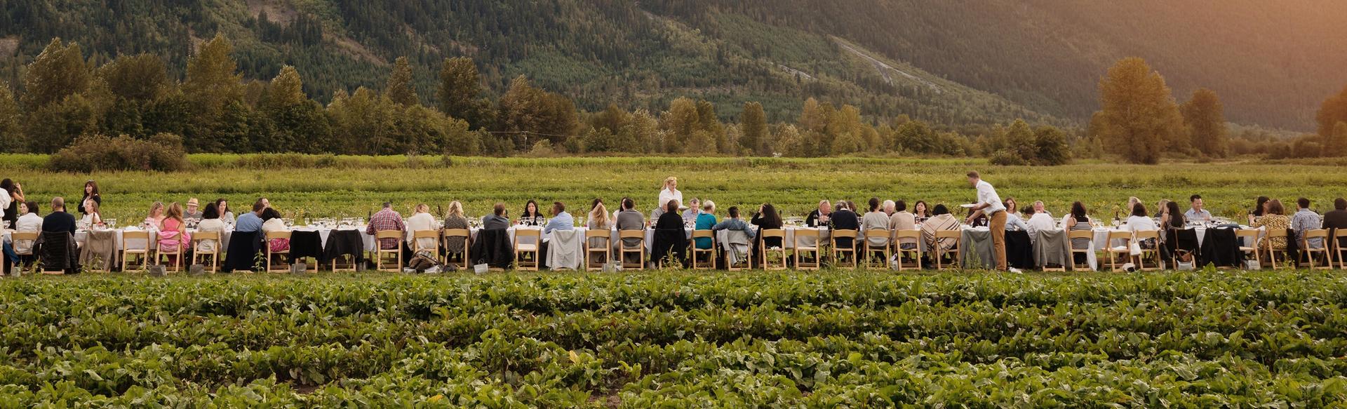 Diners enjoy a meal at long tables set up outdoor at the base of a mountain